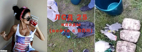 ГАЛЛЮЦИНОГЕННЫЕ ГРИБЫ Балабаново