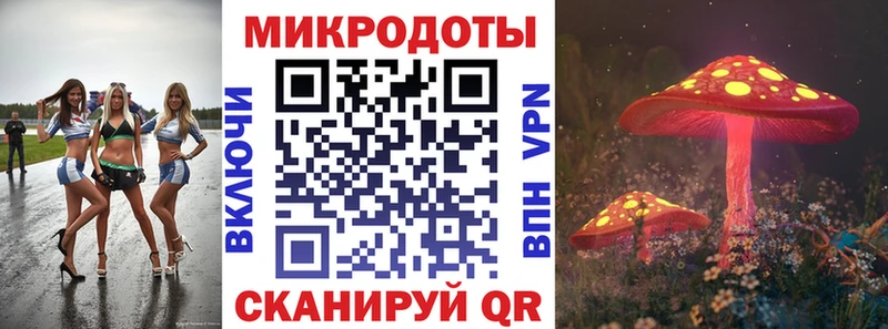 Галлюциногенные грибы мухоморы  Купить закладки  Жердевка 