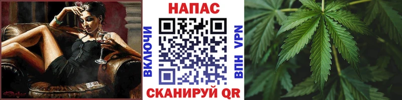 Купить закладки  Жердевка  Бошки марихуана Ganja 